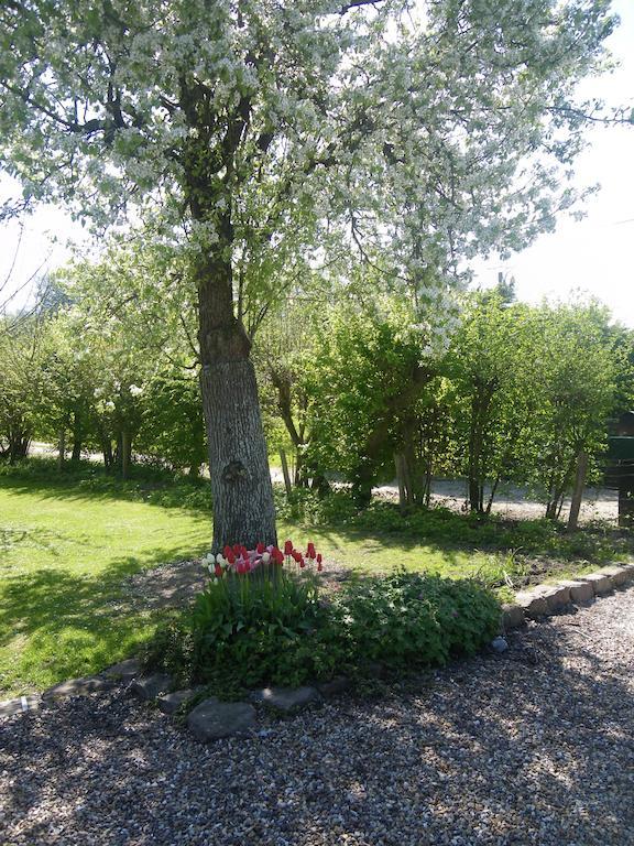 La Griotte & Spa&Piscine Pennedepie Luaran gambar
